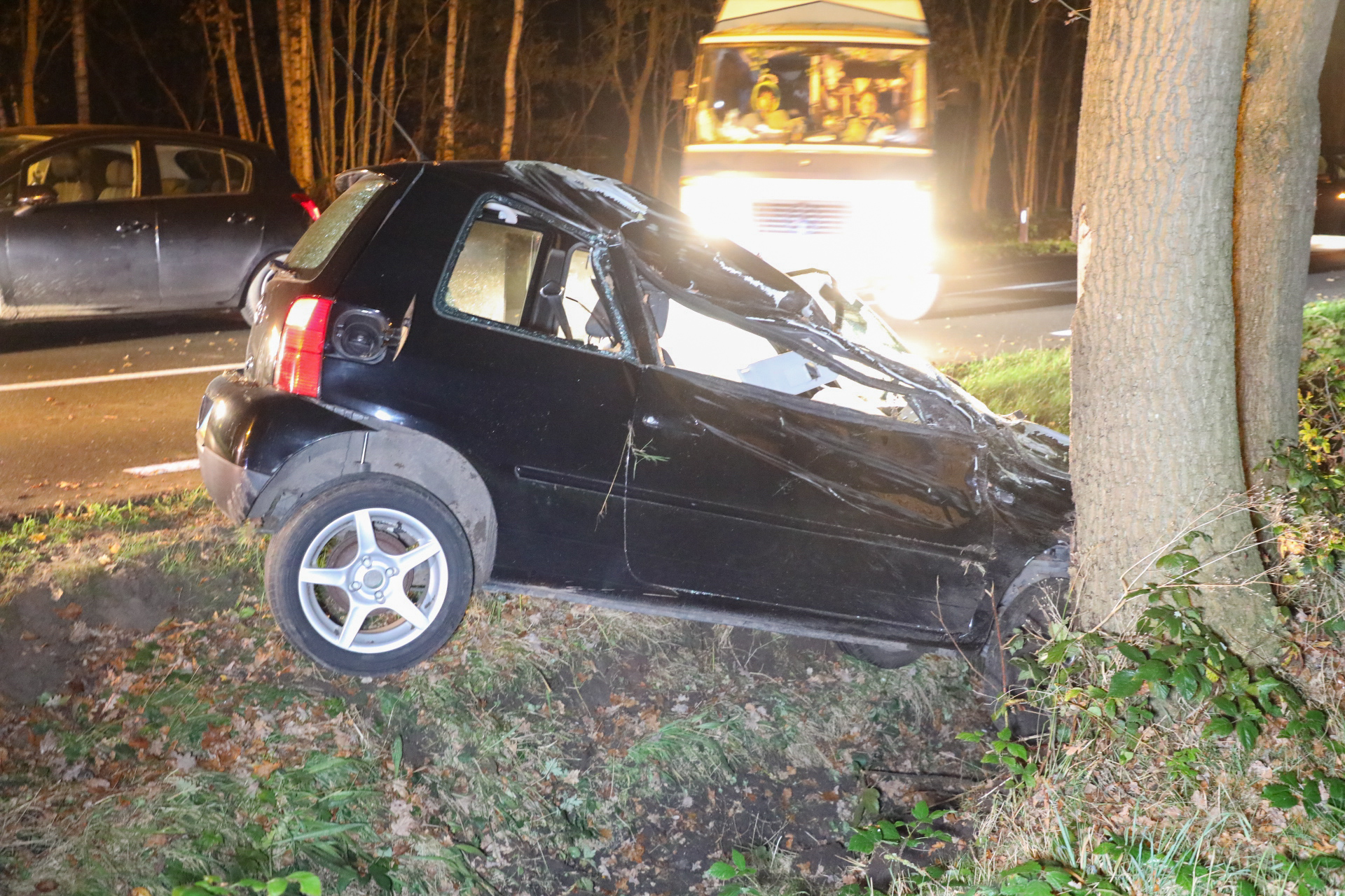 Auto botst tegen boom, vrouw gewond naar ziekenhuis