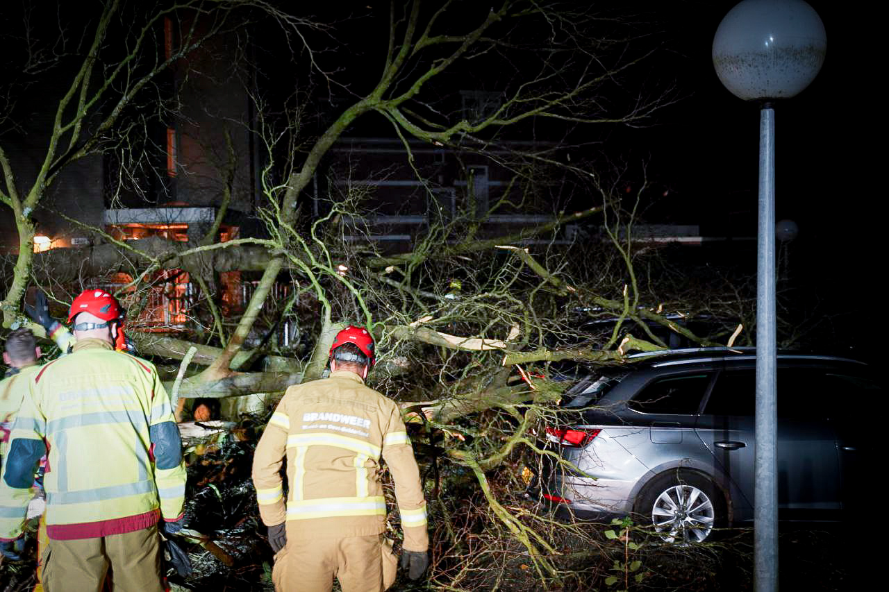 Drie auto’s vernield door omgewaaide boom