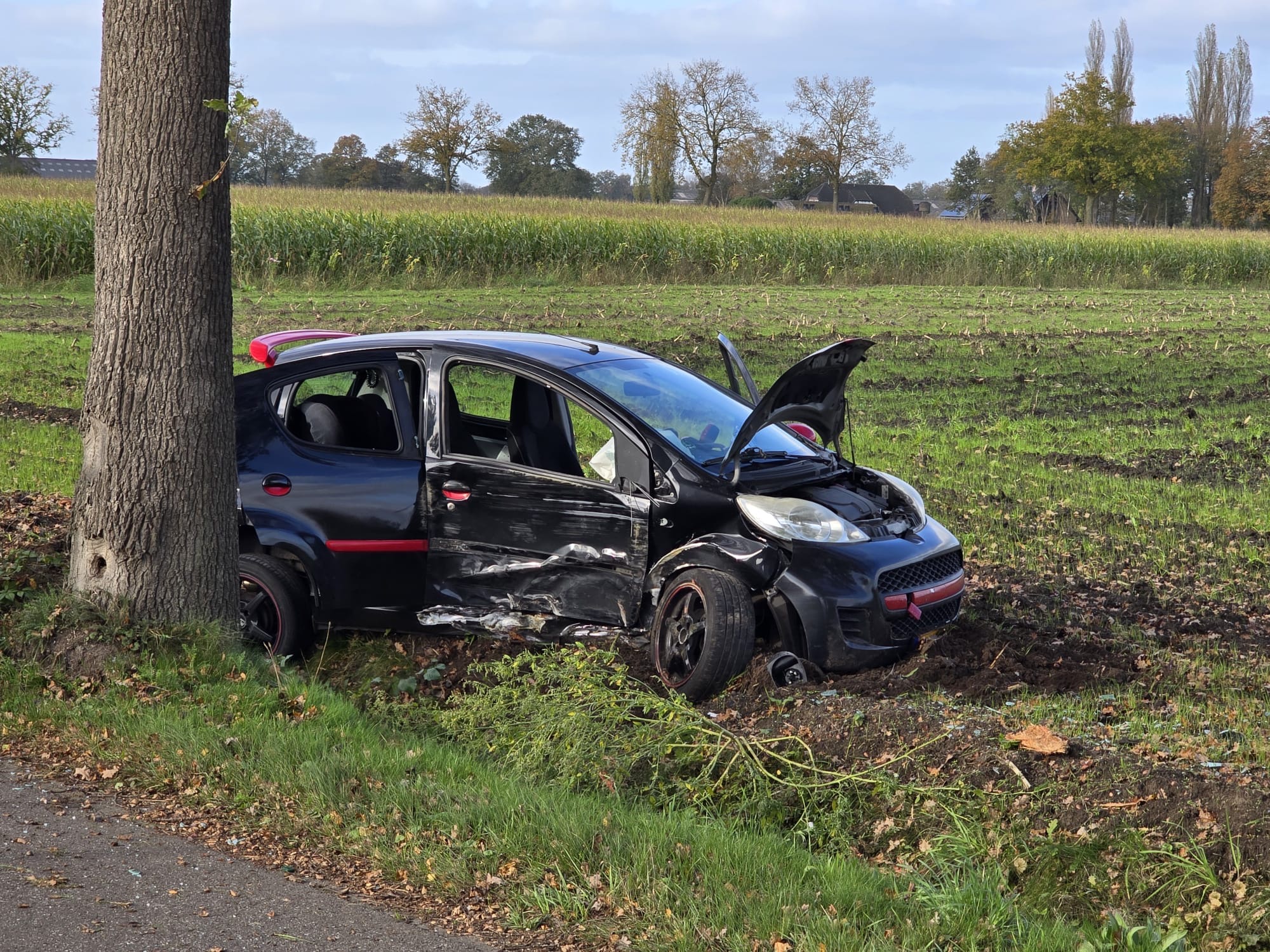 Automobilist en kind gewond na botsing tegen boom