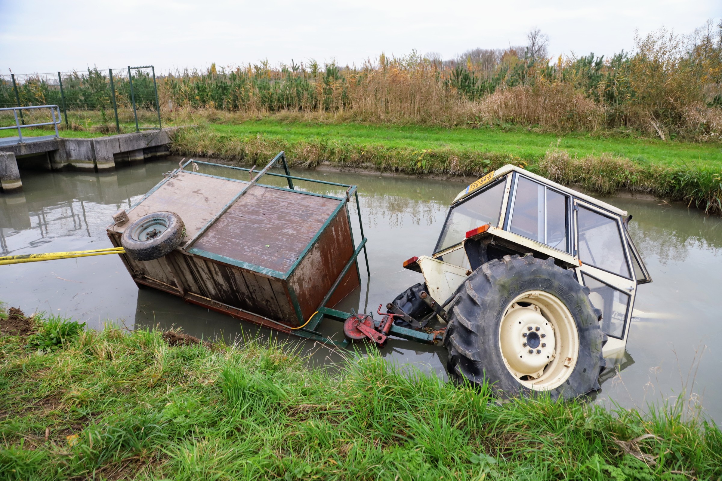 Pony om het leven gekomen bij ongeval met tractor