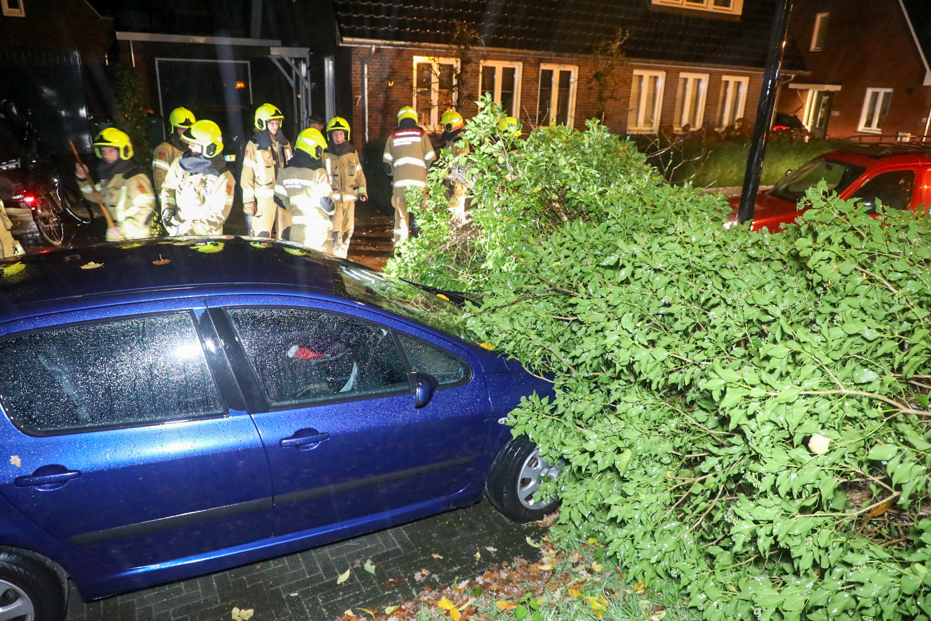 Boom valt op geparkeerde auto