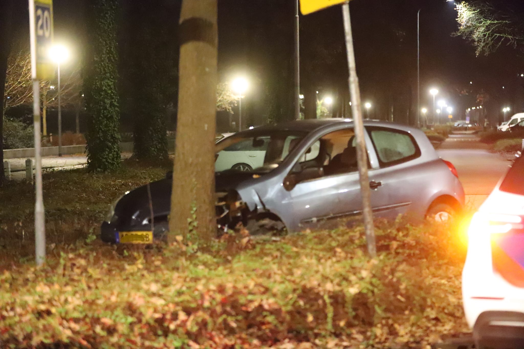 Auto raakt van de weg en botst tegen boom