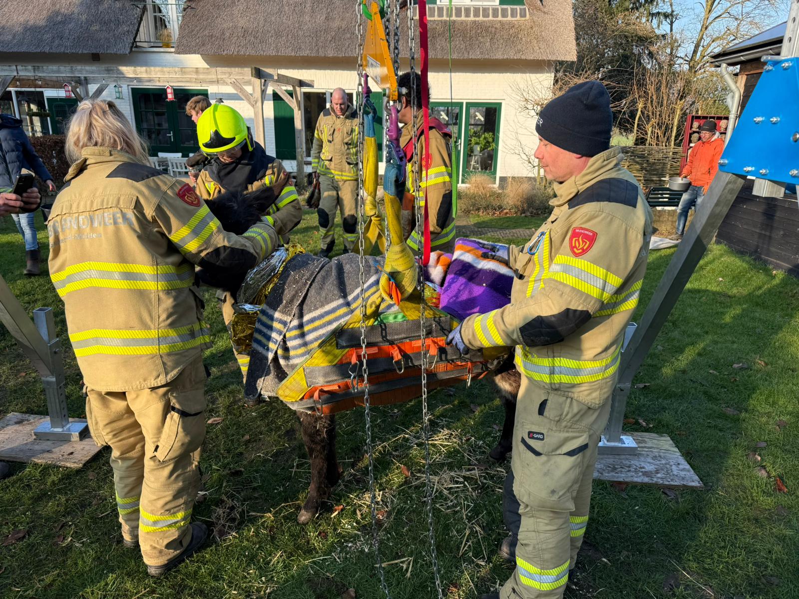 Brandweer bevrijdt ezel uit benarde positie