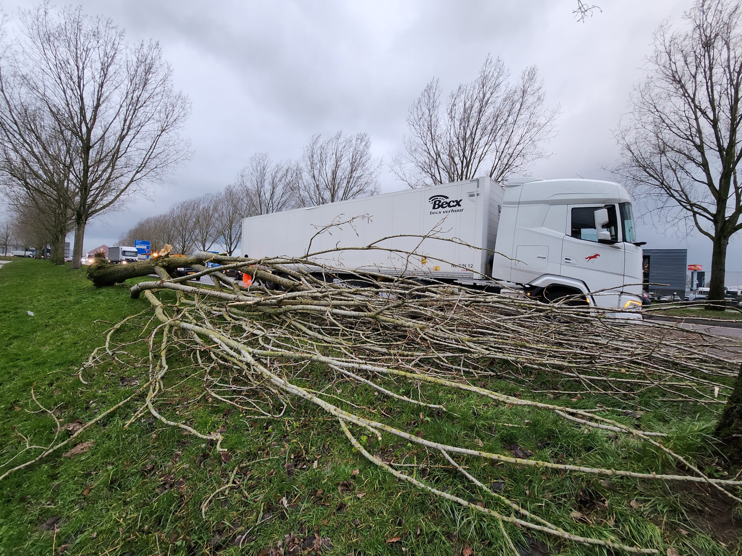 Boom waait om en valt tegen vrachtwagen